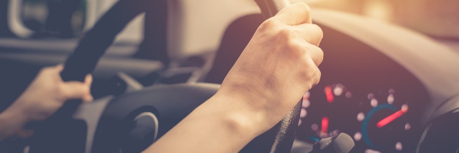 shutterstock_2820335541