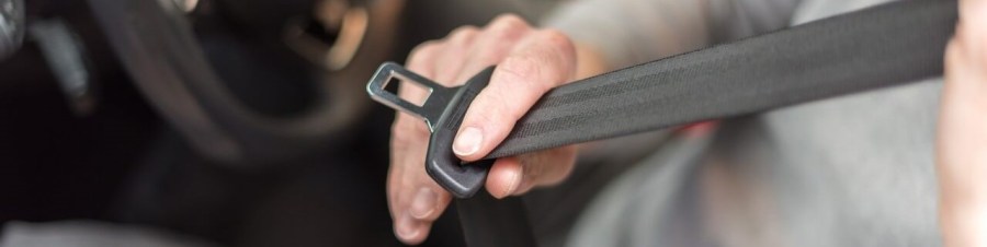 cinturón-de-seguridadwp